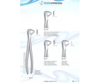 Extracting Forceps